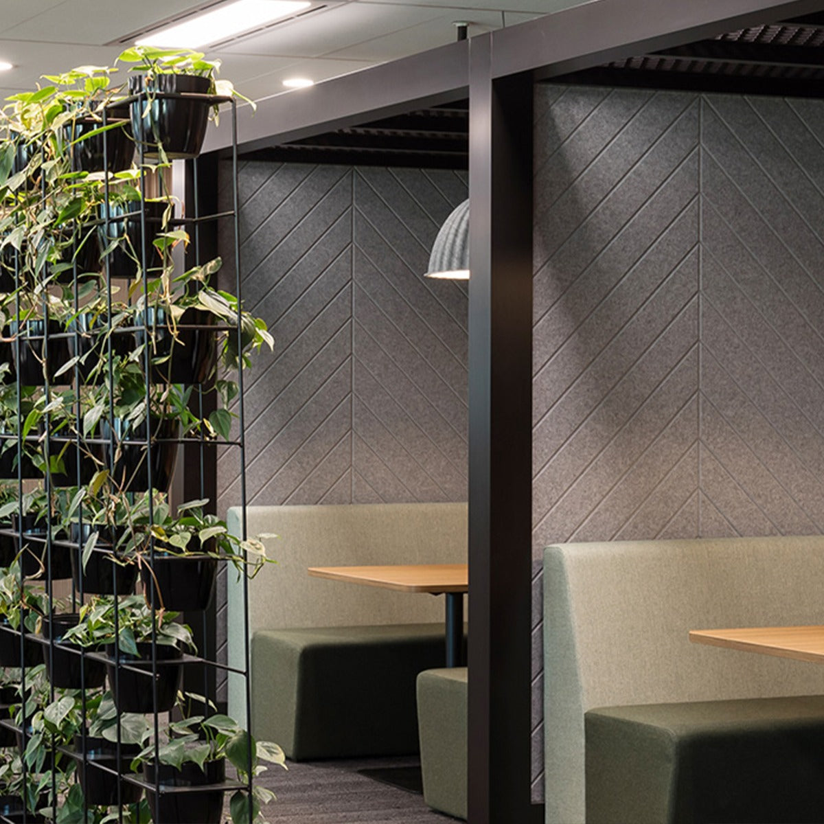 Autex Groove patterned acoustic panels on a feature wall