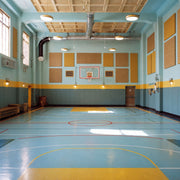 SilentSpace Impact Resistant Acoustic Panels - Custom Sizes
