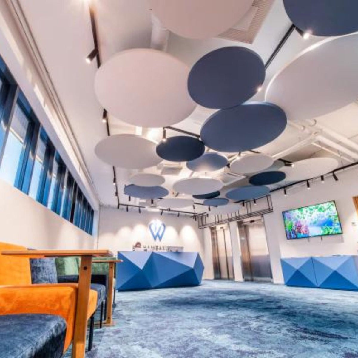 Ceiling Raft Colours Ecophon 'Solo' Circle Colours - Suspended Acoustic Ceiling Raft ...