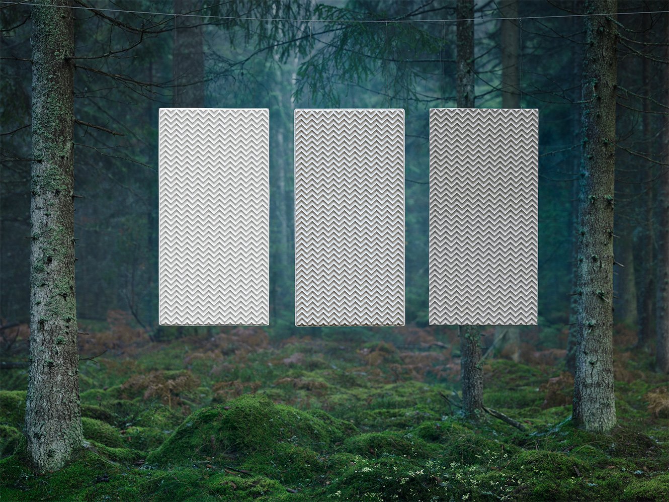 First Image