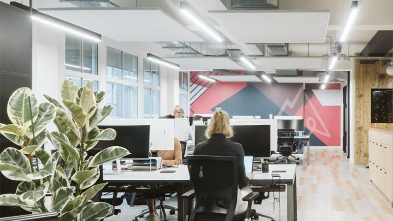 Open Plan Office Acoustics Guide